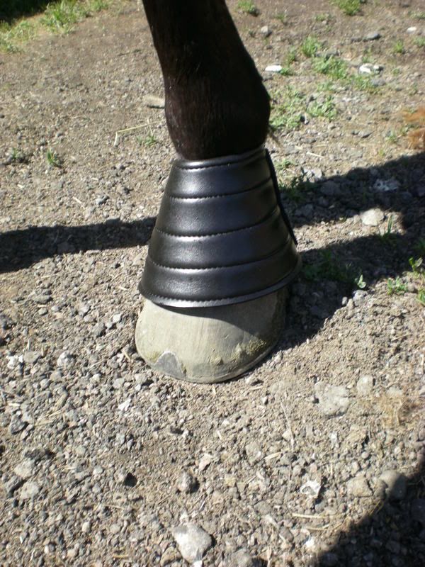 DSCN5859.jpg