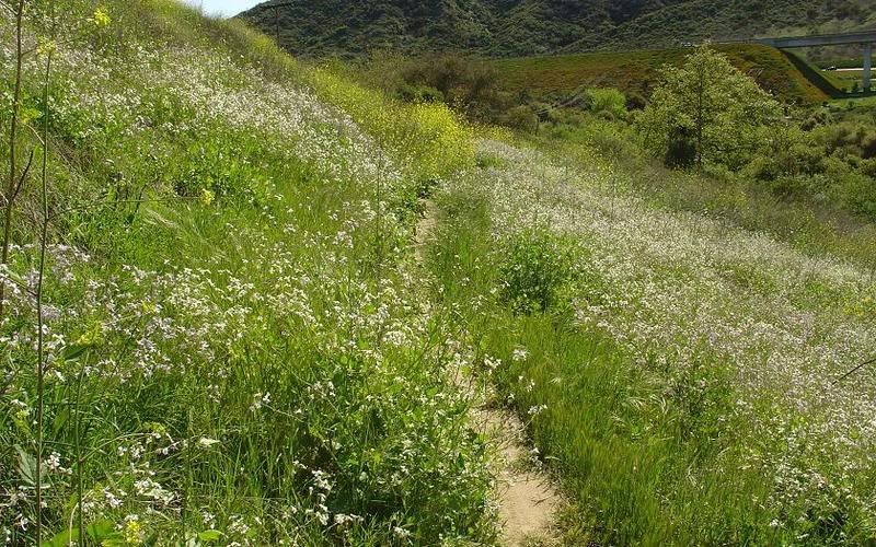 hp wallpaper themes. pc wallpaper themes.