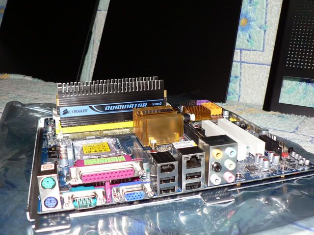 P1040667.jpg