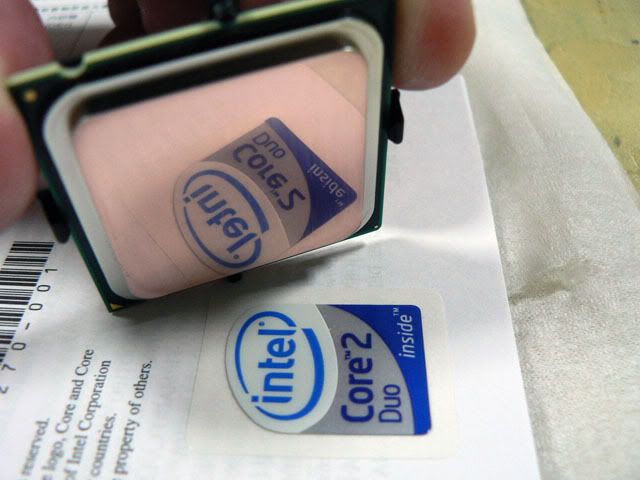 P1040674.jpg