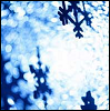 snowflakes Pictures, Images and Photos