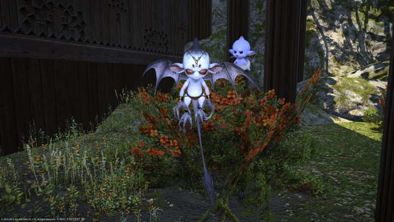 [Image: ffxiv_10212014_093718_zpsd613bed3.png]