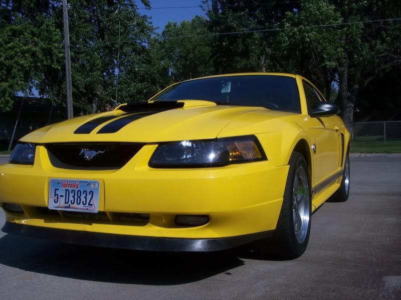 POST PICTURES OF YOUR ZINC OR SCREAMING YELLOW MUSTANGS 9909 Body