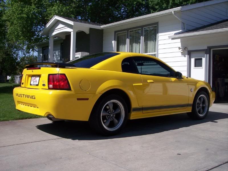 POST PICTURES OF YOUR ZINC OR SCREAMING YELLOW MUSTANGS 9909 Body