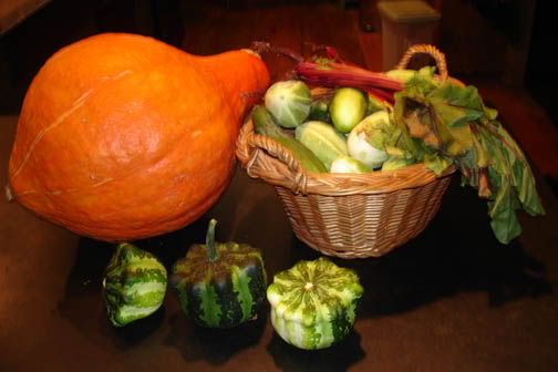 latesummerharvest2009.jpg