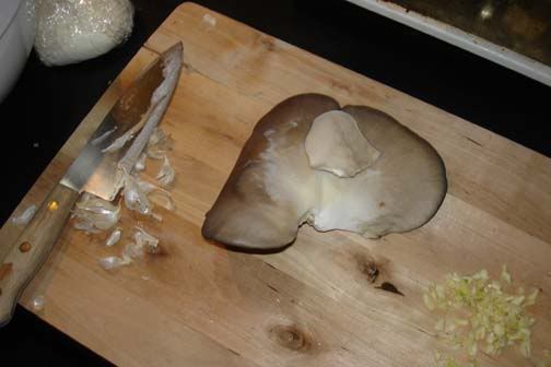 oystermushroom.jpg