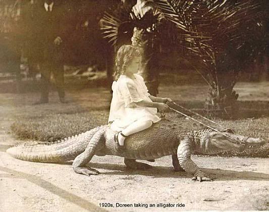 girl riding alligator