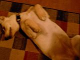 http://i32.photobucket.com/albums/d34/Stephanie1970/th_mispics033.jpg