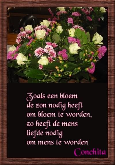bloem9.jpg picture by annemargje