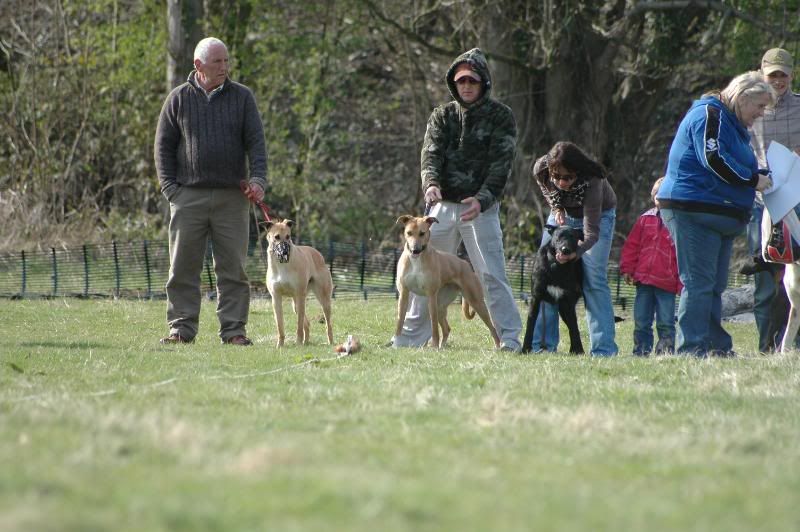 gamefair166.jpg