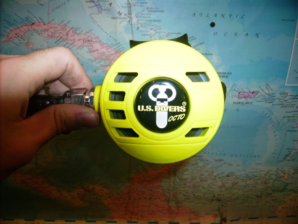 dive011.jpg
