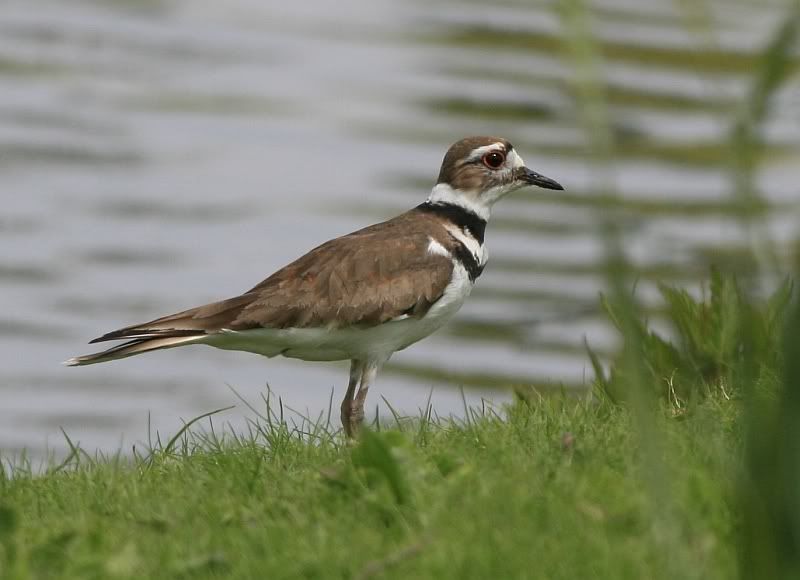 IMAGE: http://i32.photobucket.com/albums/d37/flyng_squirl/IMG_3012sm.jpg