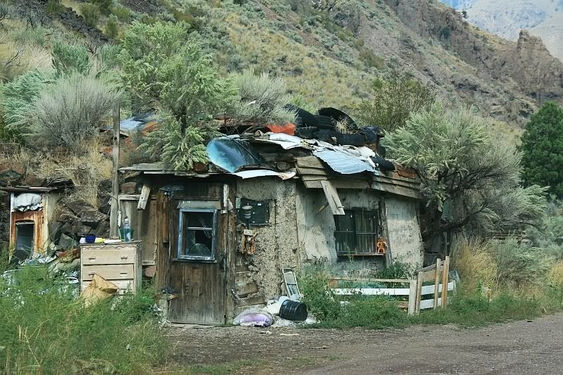 IMAGE: http://i32.photobucket.com/albums/d37/flyng_squirl/IMG_8228sm.jpg