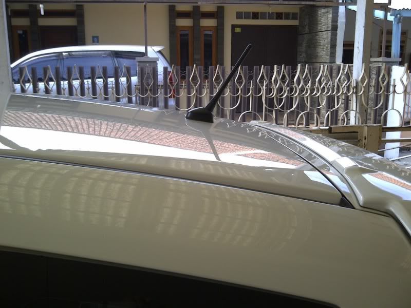 IMG-20111208-03080.jpg
