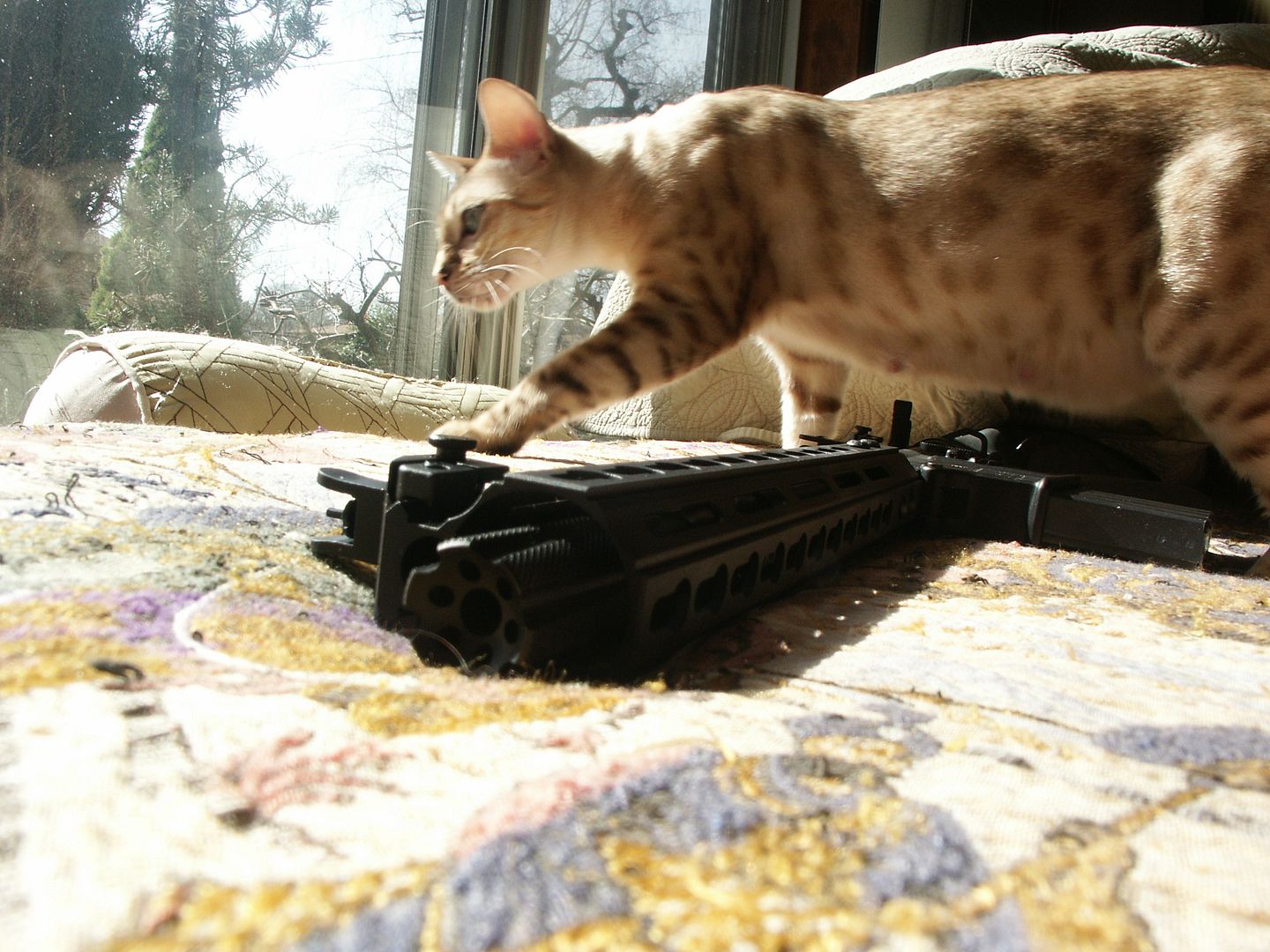 Do ANY of the linear compensators actually reduce recoil or rise