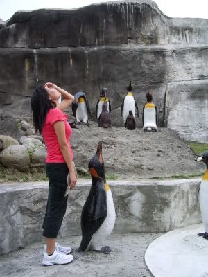 台北木柵動物園企鵝館門口