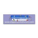 SOF logo bumper sticker