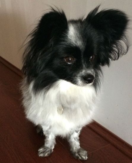 04eb8c66-0807-460a-b740-a36f737a313c_zps