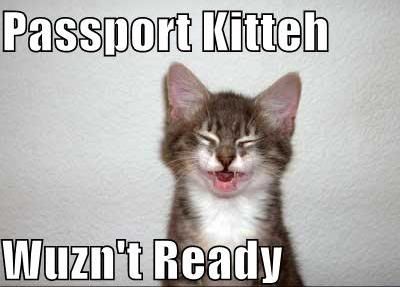 funny-pictures-kitten-bad-passport-.jpg