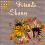 shanyfriends1.gif picture by carry30