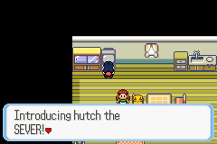 hutch1.png