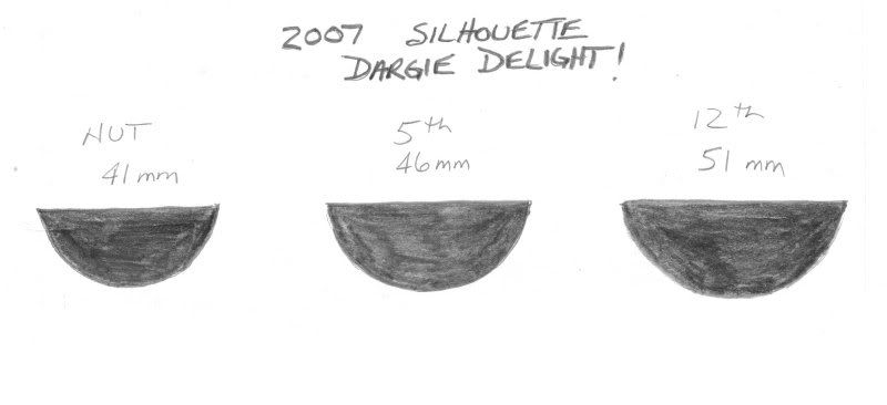 2007silodargiedelight.jpg