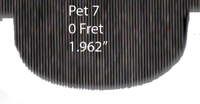 Pet70011copy.jpg
