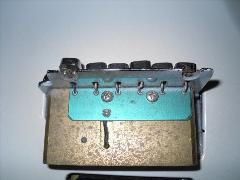 SDC10110.jpg