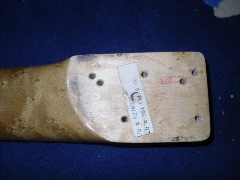 SDC10151.jpg