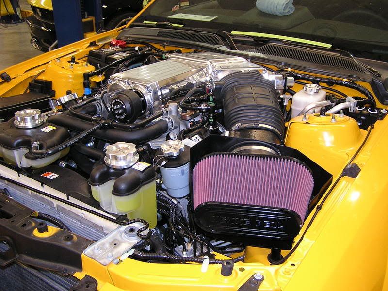 P1010177-2.jpg