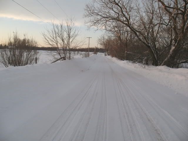 Ready for the end of winter! - Goats