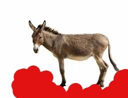 e3a4727f-a6c3-46fc-a573-2ed8fb1af249_zps