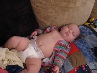 Lifes a Nap Another Day Another Nap