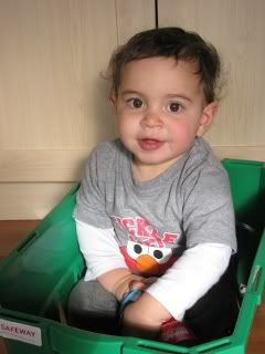 May Blog 15 Months of Silly
