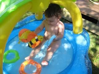In The Pool Big Boy in a Little Pool