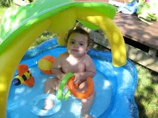 In the Pool Okay, One Look .. Then Im Out Of Here