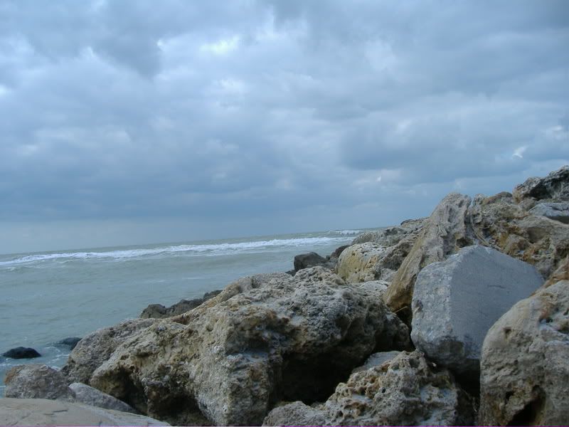 IMAGE: http://i32.photobucket.com/albums/d46/rmodys/StockPhotos027.jpg