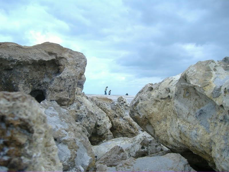 IMAGE: http://i32.photobucket.com/albums/d46/rmodys/StockPhotos029.jpg