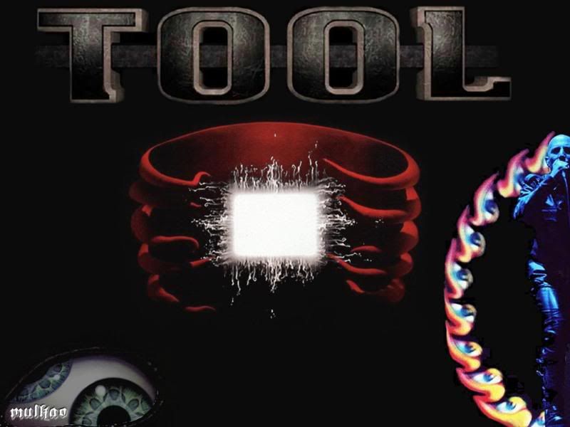 Free wallpapers the band tool