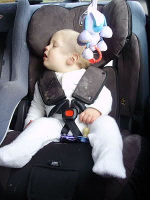 hipod senator headrest height answer! - Car Restraints - Essential Baby hipod senator headrest height answer! - Car Restraints - Essential Baby