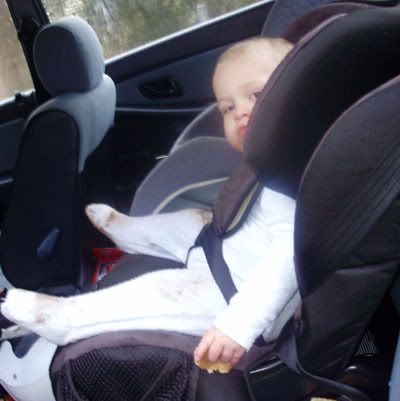 Hipod Senator? - Car Restraints - Essential Baby Hipod Senator? - Car Restraints - Essential Baby