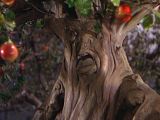 Tree.jpg image by FirestarterCL