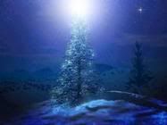 mybluechristmas.jpg