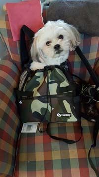 Doxtasy Pet Carrier Camouflage