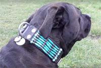 Doxtasy Dog Collar Blue River