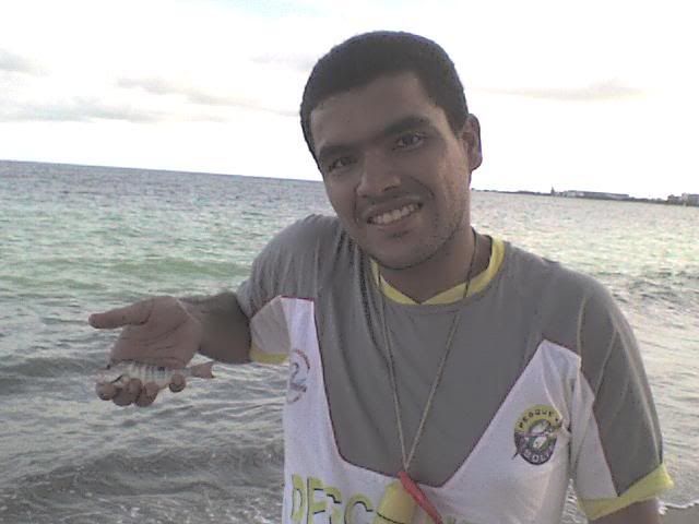 Imagem