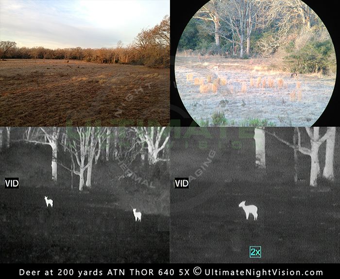 Using Thermal Imaging During the Day