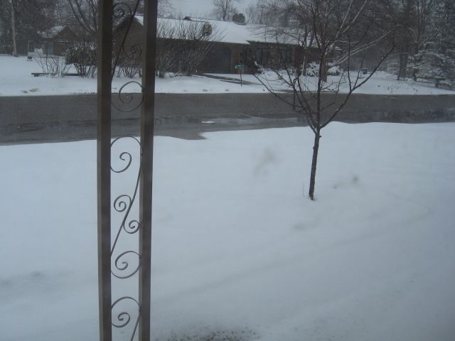  photo IMG_2255_zps21166b7b.jpg