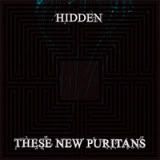 These New Puritans - Hidden