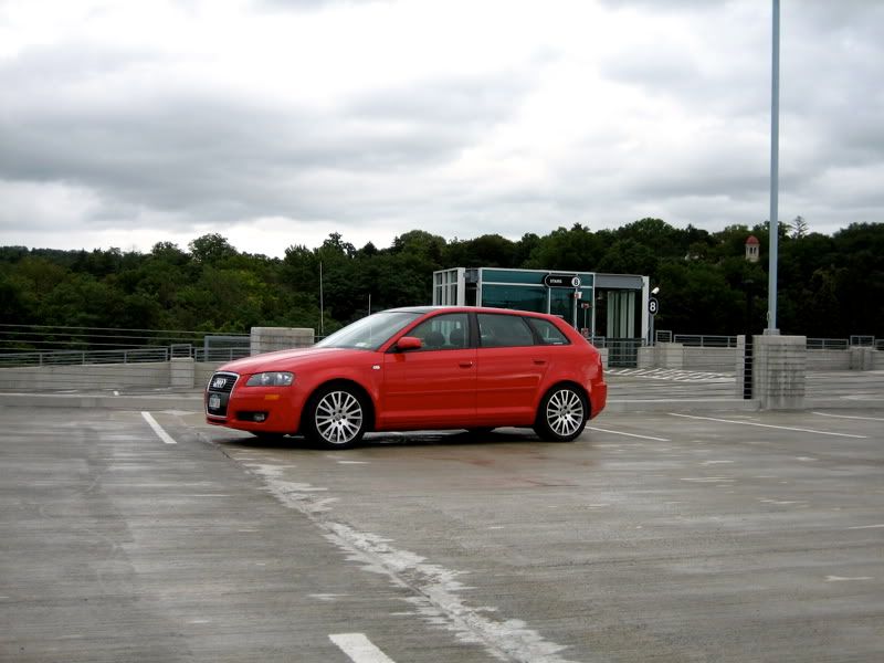 Review Dampening Adjustable Vogtland Coilovers VW Vortex